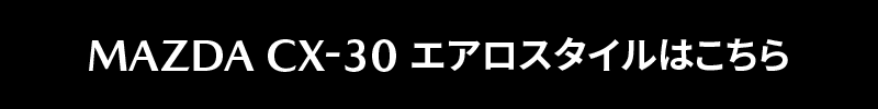 オリジナルエアロ