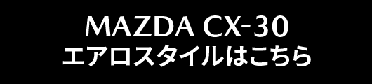 オリジナルエアロ