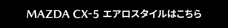 オリジナルエアロ