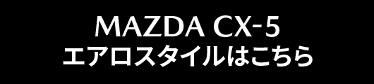 オリジナルエアロ