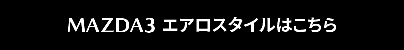 オリジナルエアロ