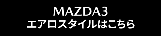 オリジナルエアロ