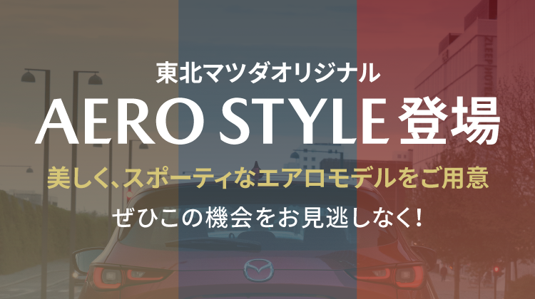 エアロスタイル登場